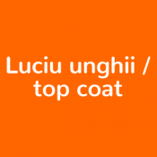 Luciu unghii / top coat (17)